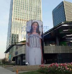 ����(sh��)���̈�(ch��ng)-��������Ӯ�(hu��)��